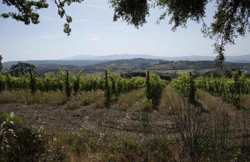 Montorsaio House | Explore Agriturismo Belvedere: A Guest Favorite Retreat