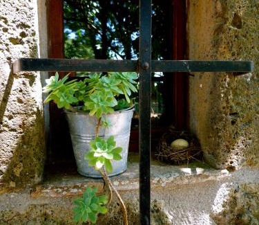 Sorano House | Escape to Agriturismo Biologico Sant'Egle: Oceanfront Bliss