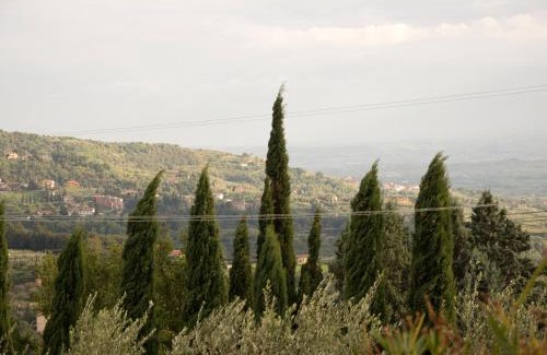 San Baronto House | Experience Agriturismo Borgo La Casetta: Pet-Friendly Retreat