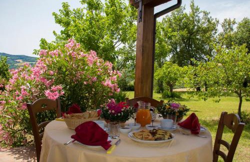 Pergola House | Inviting Agriturismo Calamello: Pool & Family-Friendly Fun