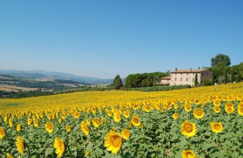 Loreto House | Discover Agriturismo Casale Dei Frontini: 9/10 Rated Retreat