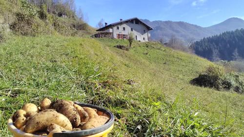 Cremeno House | Oceanfront Retreat at Agriturismo Cascina Cornella