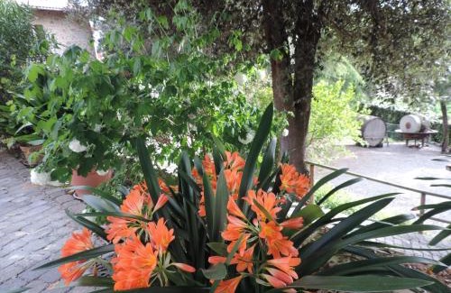 Popoltaio-Schiacciato House | Serene Agriturismo CaseGraziani with Pool and Ocean Views