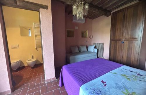 Castagneto Carducci House | Discover Agriturismo Colle Donatucci: Pool & Hot Tub Retreat