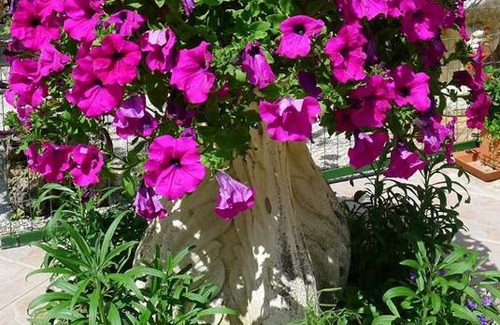 Valfabbrica House | Discover Agriturismo Collemaggio: Family-Friendly Retreat