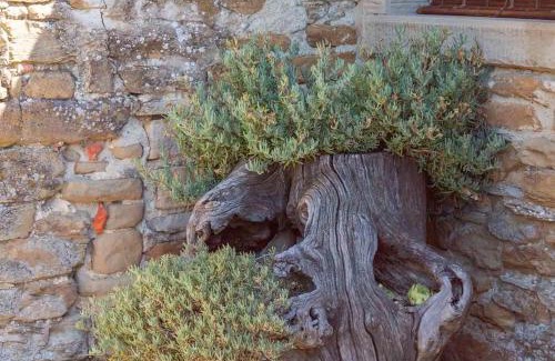 Arezzo House | Tribbiano: Family-Friendly Tuscan Retreat with Pool