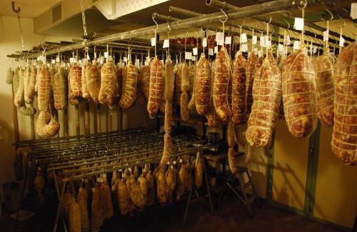 Valeggio sul Mincio House | Experience Agriturismo Corte Morandini: Pet Friendly Retreat