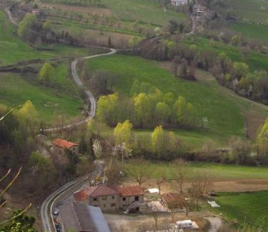 Selvapiana Apartment | Pet-Friendly Retreat at Il Fienile for Family Getaways