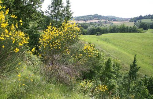 Selvapiana Apartment | Pet-Friendly Retreat at Il Fienile for Family Getaways