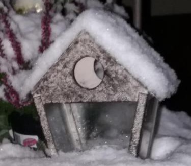 Nord-Est House | Pet-Friendly Agriturismo Corte Carolina: Guest Rated 10/10