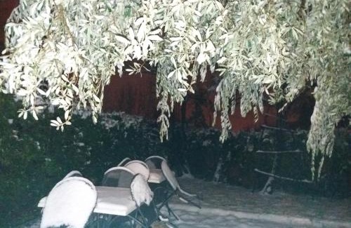 Nord-Est House | Pet-Friendly Agriturismo Corte Carolina: Guest Rated 10/10