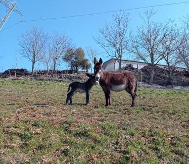 Nord-Est House | Discover Agriturismo Corte Maccini: Pool & Hot Tub Retreat