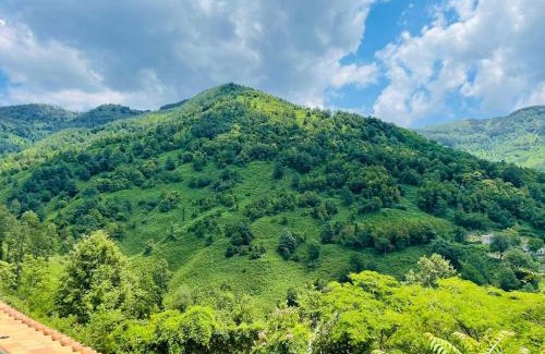 Lago House | Pet-Friendly Retreat at Agriturismo Cupiglione, Rated 9.7