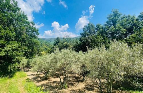 Lago House | Pet-Friendly Retreat at Agriturismo Cupiglione, Rated 9.7
