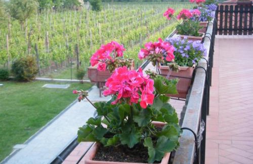 Albana Bed & Breakfast | Explore Agriturismo Grillo Iole Winery - Rated 9.4/10!