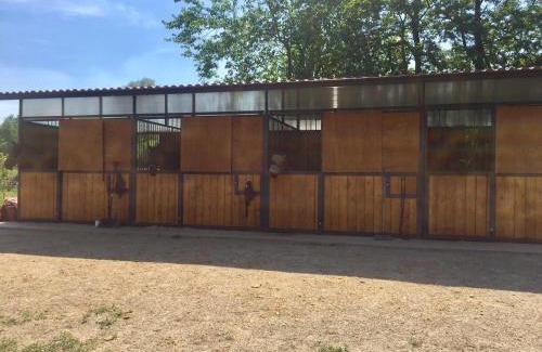 Oleggio House | Pet-Friendly Agriturismo Helianthus with Ocean View Rooms