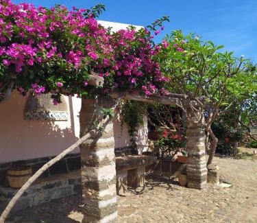Ustica House | Experience Agriturismo Hibiscus: Oceanfront Pet-Friendly Retreat