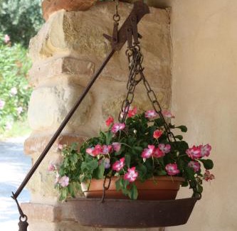 Montefiore dell'Aso Apartment | Discover Agriturismo i Cigni: Pet-Friendly Retreat Awaits