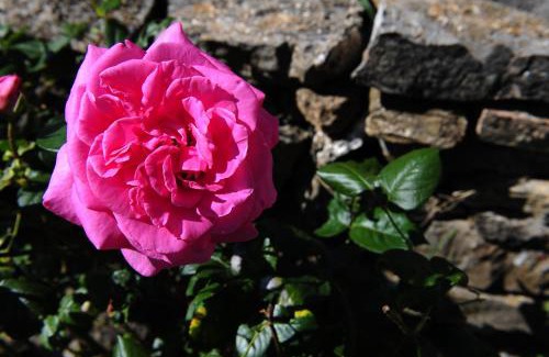 Semproniano House | Discover Agriturismo I Monti: Family-Friendly Retreat