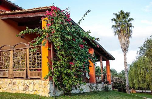 Olmedo House | Pet-Friendly Agriturismo I Vigneti with Pool & Kitchen