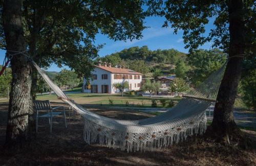 Monteluiano House | Experience Agriturismo Il Beccafico Alpaca: Rated 10/10