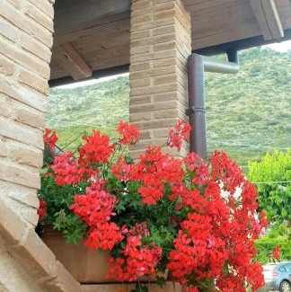 Monte San Biagio House | Agriturismo Il Casale Dei Gelsi