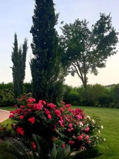 Monte San Biagio House | Agriturismo Il Casale Dei Gelsi