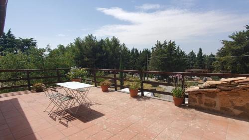 Montalcino House | Relax at Agriturismo Il Cocco: Pet-Friendly Retreat