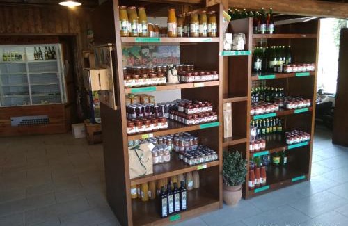 Bibiana House | Peaceful Agriturismo Il Frutto Permesso with Pool & Dining