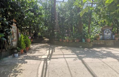 Marina di Puolo House | Discover Agriturismo Il Giardino di Vigliano - Pet Friendly Stay