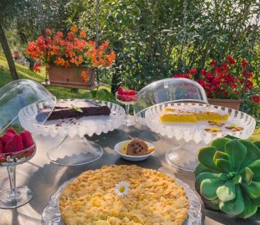 Monzambano House | Discover "Il Glicine Bianco": 4-Star Stay with Pool & Breakfast