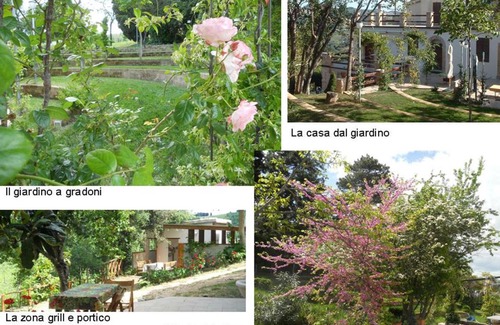 Rotella House | Discover Agriturismo Il Palmarone: Pet-Friendly Retreat