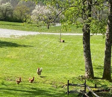 Bruscoli House | Discover Agriturismo Il Passeggere: Pet-Friendly Retreat
