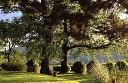 Vaiano House | Unforgettable Stay at Agriturismo Il Ponticello: 10/10 Review