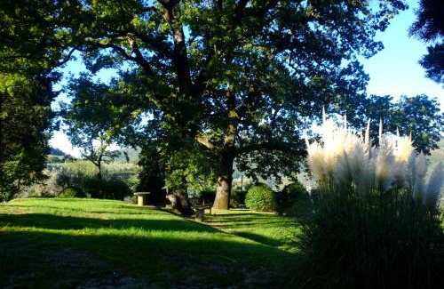 Vaiano House | Unforgettable Stay at Agriturismo Il Ponticello: 10/10 Review
