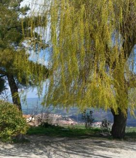 Baselice House | Top-Rated Agriturismo Il Regio Tratturo with Breakfast