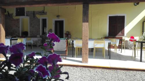 Capriata d'Orba House | Discover Agriturismo Il Vecchio Portico: Pet-Friendly Retreat