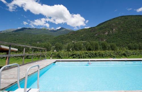 Talamona Apartment | Pet-Friendly Agriturismo L'isola del Cavallo - Rated 10/10
