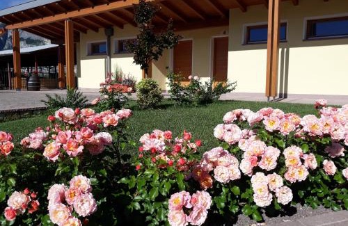 Nave San Rocco House | Explore Agriturismo L' Isola di Arturo: Pet-Friendly Oasis