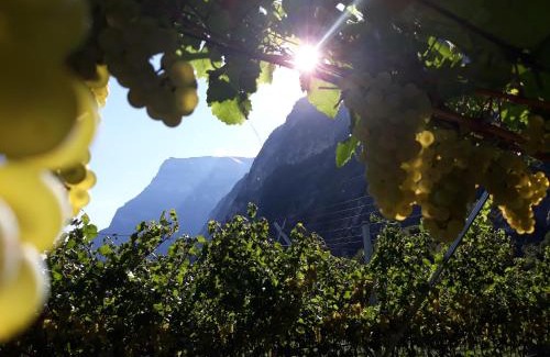 Nave San Rocco House | Explore Agriturismo L' Isola di Arturo: Pet-Friendly Oasis
