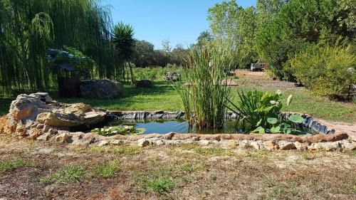 Olmedo House | Pet-Friendly Agriturismo La Barca In Secca with Kitchen