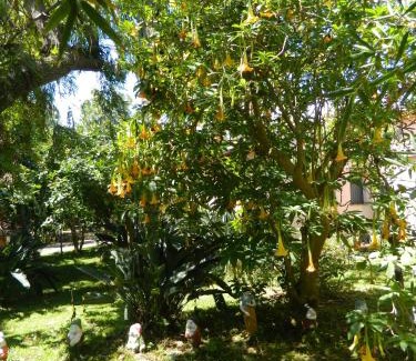 Archi House | Cozy Agriturismo La Grevillea: Pet-Friendly Retreat