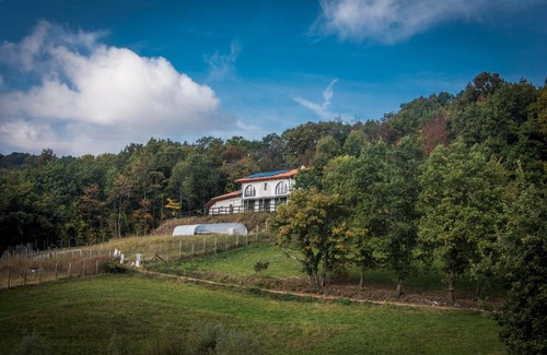 Baldissero Torinese Apartment | Pet-Friendly Agriturismo "La Collina" 15km from Turin