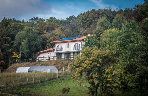 Baldissero Torinese Apartment | Pet-Friendly Agriturismo "La Collina" 15km from Turin