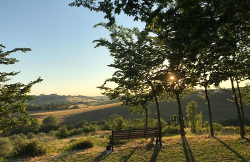 Montemarciano House | Pet-Friendly Agriturismo La Nocicchia with Pool Access