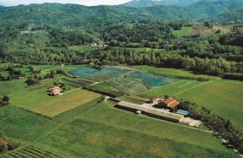 Gassano House | Discover Agriturismo La Praduscella: Family-Friendly Retreat