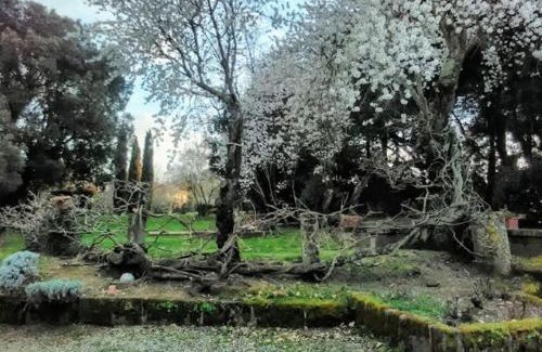 Viterbo House | Pet-Friendly Agriturismo la Romanella with Pool & Kitchen