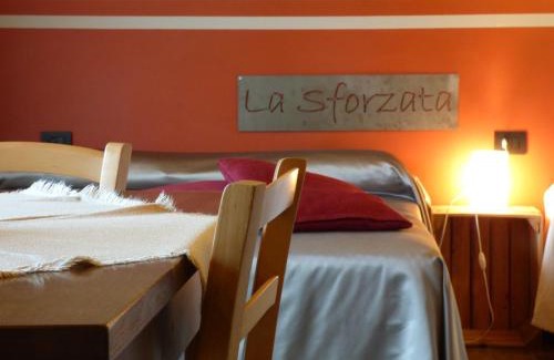Collegno House | Experience Agriturismo la Sforzata: Pet-Friendly Retreat