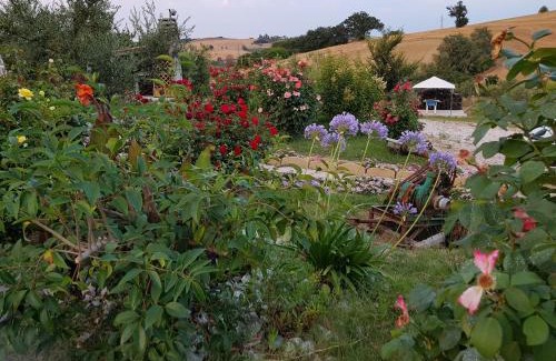 Pesaro House | Inviting Agriturismo La Stradaccia with Oceanfront Pool