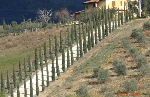 Manciano House | Discover Agriturismo La Svolta: Pet-Friendly Ocean Views